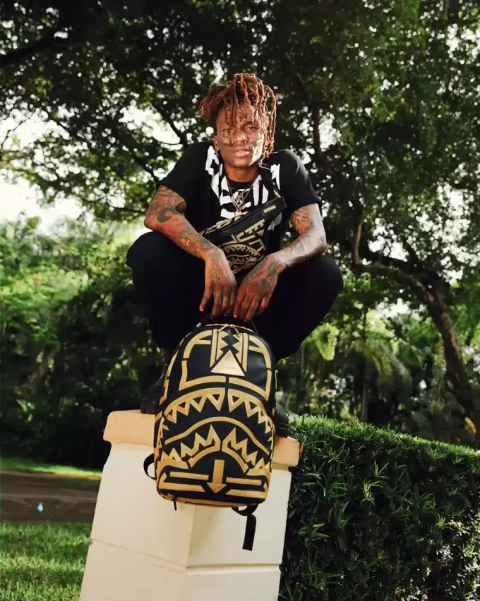 A.I.8 ZAINO AFRICAN INTELLIGENCE PATH TO THE FUTURE II (DLXV)