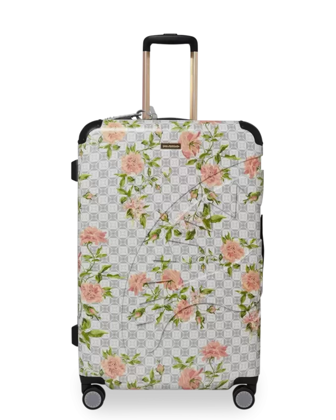 A.I. INTELLIGENZA AFRICANA ELEGANTE ENERGIA SHARKITECTURE BAGAGLIO FULL SIZE – COLLABORAZIONE SANDFLOWER