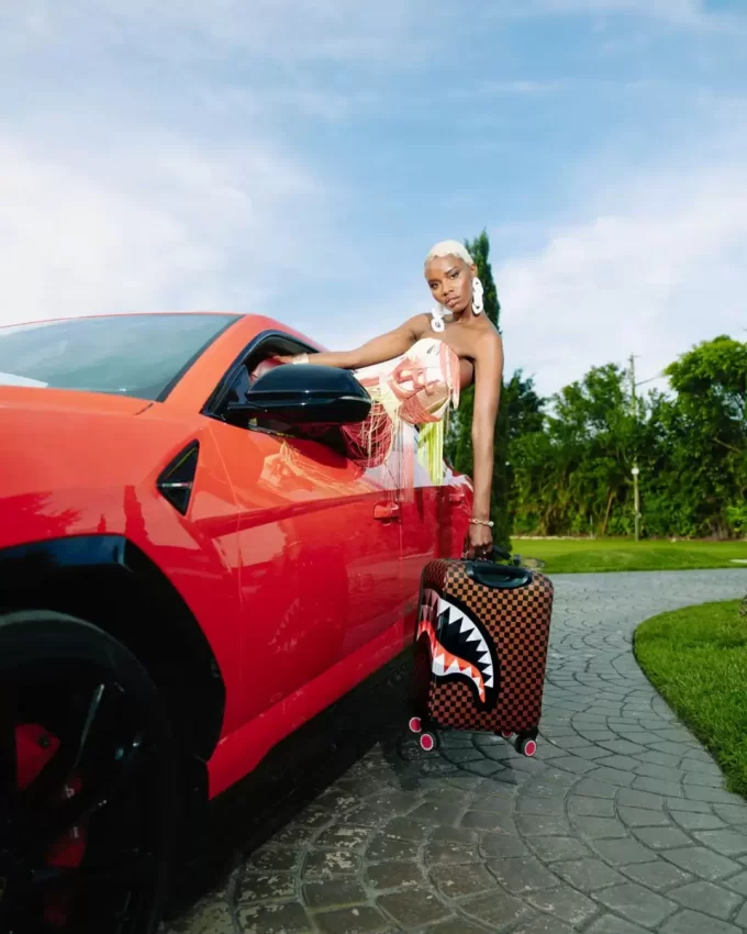 BAGAGLIO A MANO CON EFFETTI LENTICOLARI A GUSCIO MORBIDO