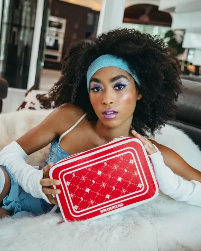 BORSA DA TOELETTATURA MODUS OPERANDI