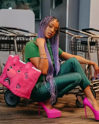 BORSA MONEYBEAR IN PELUCHE (ROSA)