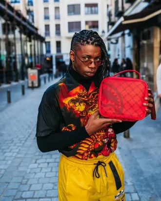 BORSA PER SNACK A FORMA DI MATTONI CON MOTIVO DI SOLDI, ANCHE NOTA COME BORSA PER SOLDI