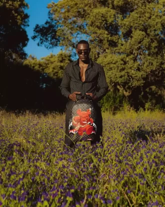 CHASE BANK: DIABLO TORNA ALL’AZIONE (GREY) (DLXV)