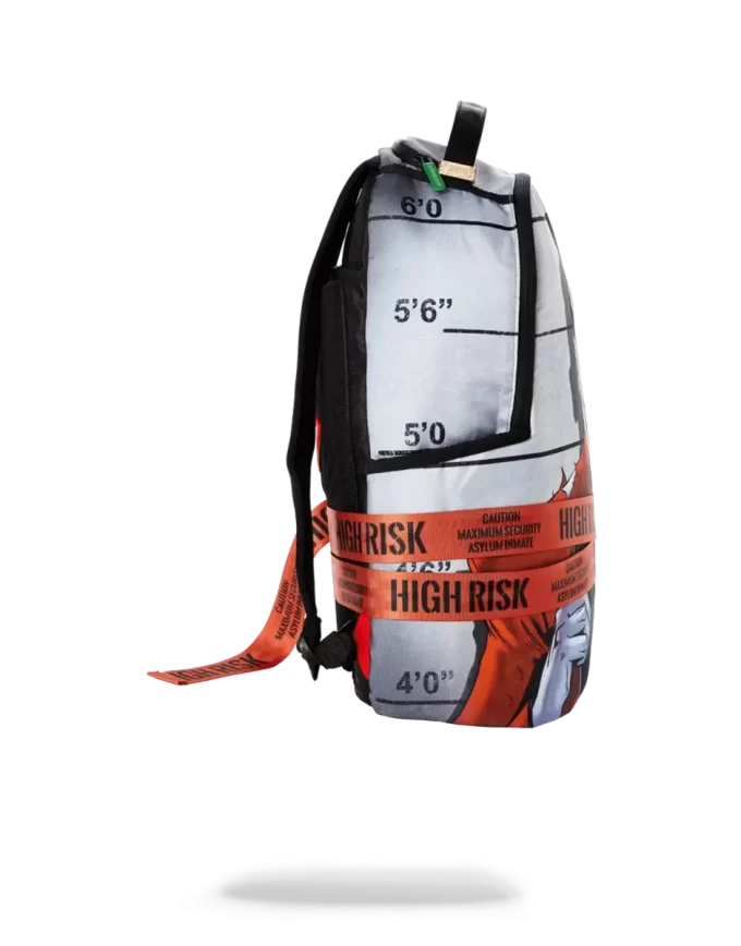 FOTO SEGNALETICA DEL JOKER