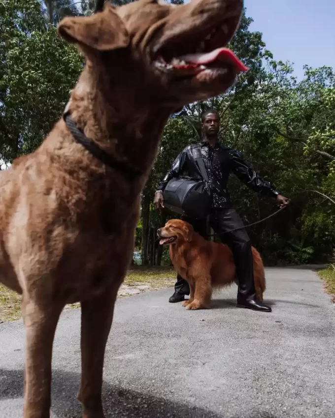 IL BORSA HQ IL BORSA HQ