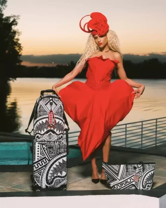 INTELLIGENZA AFRICANA E A.I. IL BAGAGLIO A MANO SKYHAWK – COLLABORAZIONE SANDFLOWER