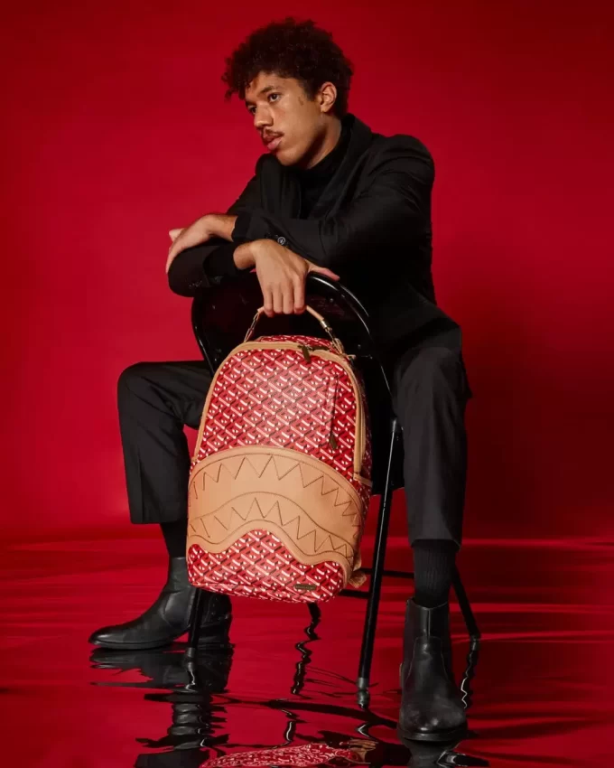 LO ZAINO CONCORDE 3DSG