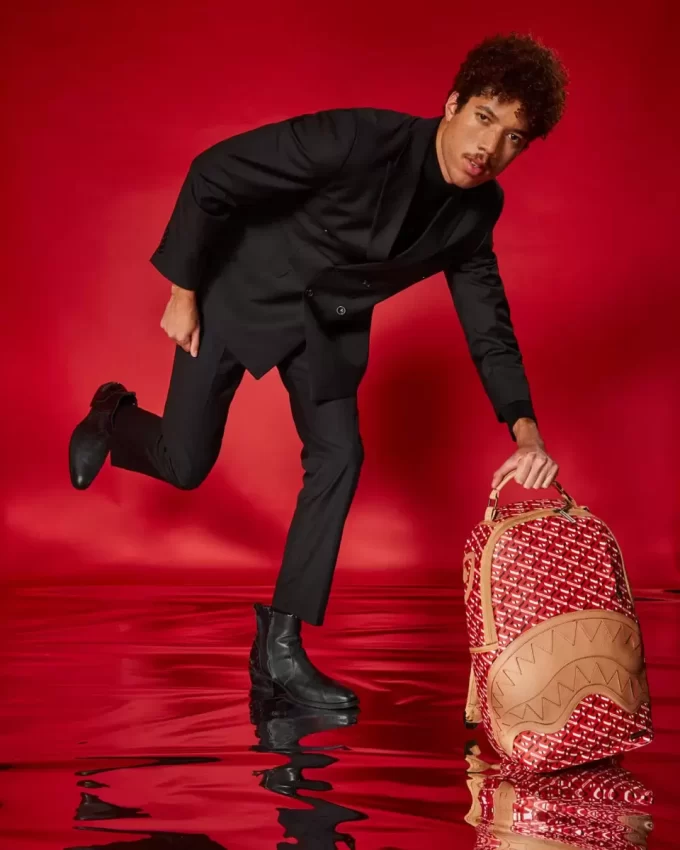 LO ZAINO CONCORDE 3DSG