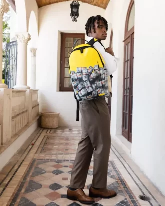 LO ZAINO DELL’IMPRENDITORE (DLXV)