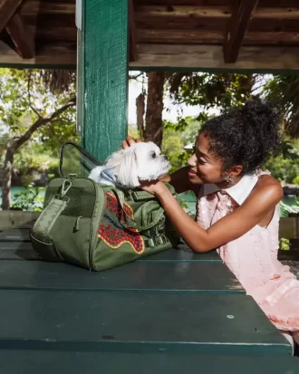 NON SI FERMERÀ FINCHÉ NON AVRÀ IL MIGLIOR TRASPORTINO PER ANIMALI