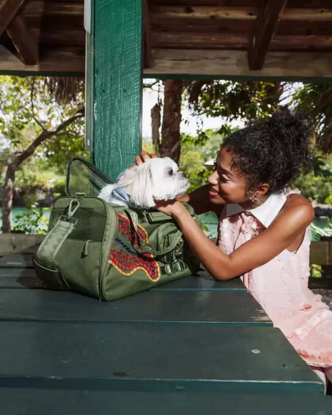 NON SI FERMERÀ FINCHÉ NON AVRÀ IL MIGLIOR TRASPORTINO PER ANIMALI