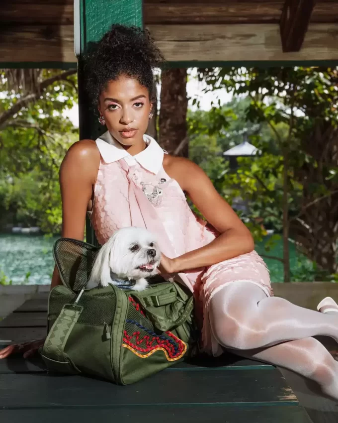 NON SI FERMERÀ FINCHÉ NON AVRÀ IL MIGLIOR TRASPORTINO PER ANIMALI