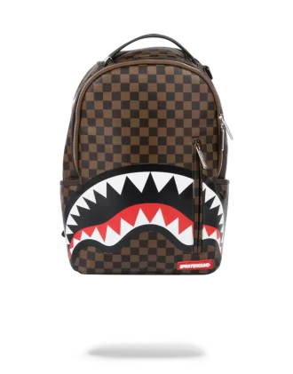 SLEEK SHARKS IN PARIS (MARRONE)