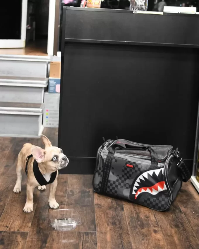 TRASPORTINO PER ANIMALI DOMESTICI 3AM