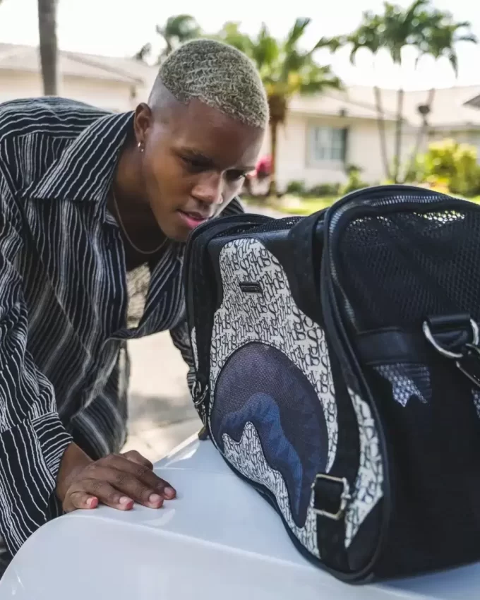 TRASPORTINO PER ANIMALI DOMESTICI SG ALL DAY