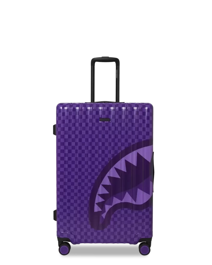 TUTTI I SISTEMI SONO compatibili con i bagagli di dimensioni standard