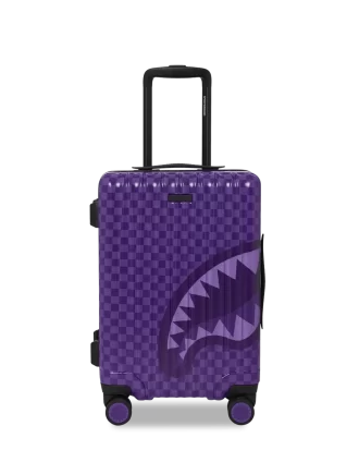 TUTTI I SISTEMI VENGONO TRASPORTATI COME BAGAGLIO A MANO