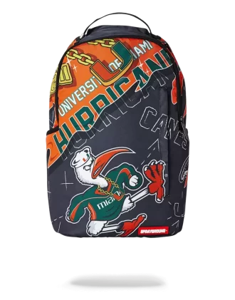 UNIVERSITÀ DI MIAMI