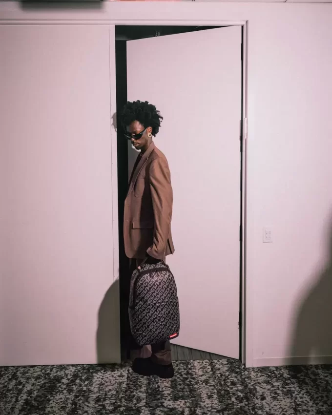 ZAINO A IMPULSI MAGNETICI (DLXV)