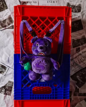 ZAINO ALL SYSTEMS GO BEAR CUB