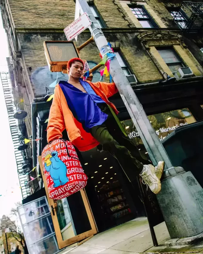 ZAINO COOKIE MONSTER BIG DOUGH DLXSR