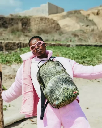 ZAINO DA INSEGUIMENTO AEREO (DLXV)