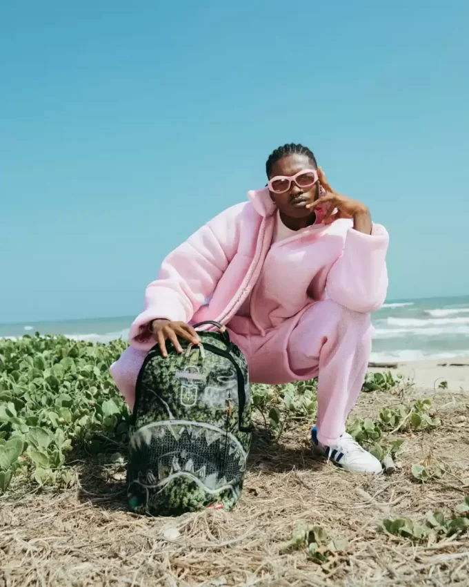 ZAINO DA INSEGUIMENTO AEREO (DLXV)