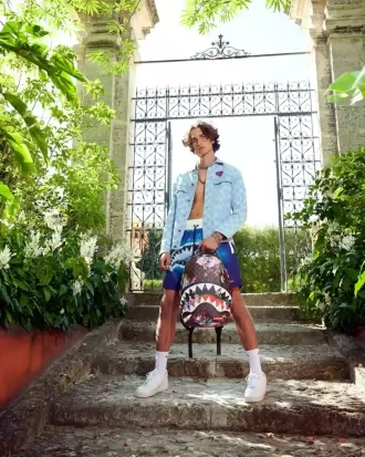 ZAINO GARDEN OF SHARKS (DLXV)