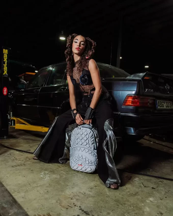 ZAINO JETLINK SKYTRACK