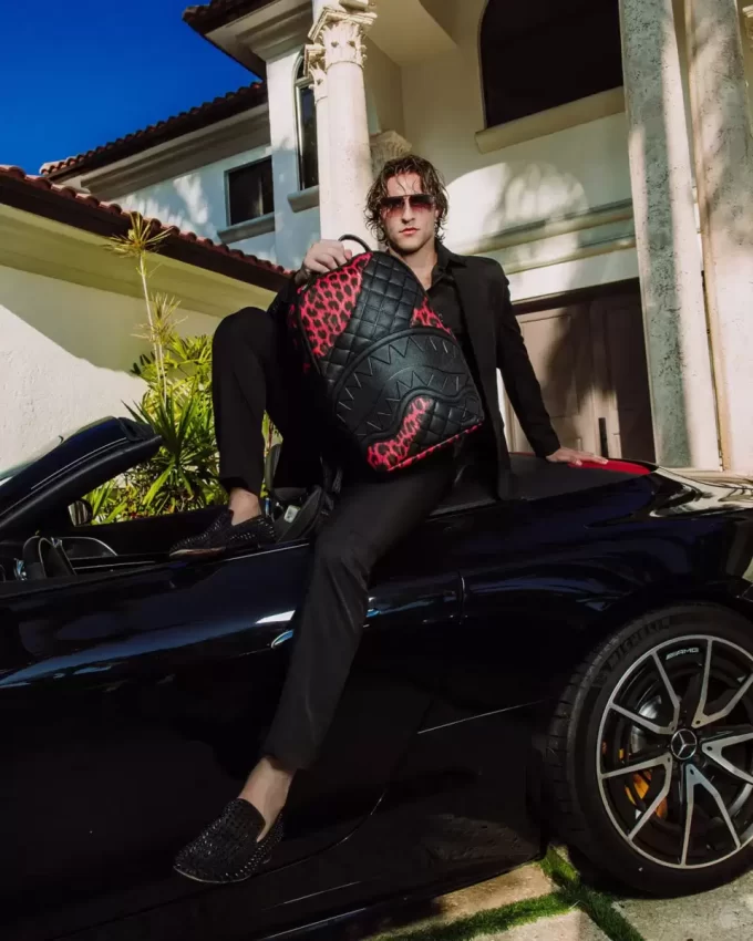 ZAINO NIGHT SPOT DLX ZAINO NIGHT SPOT DLX