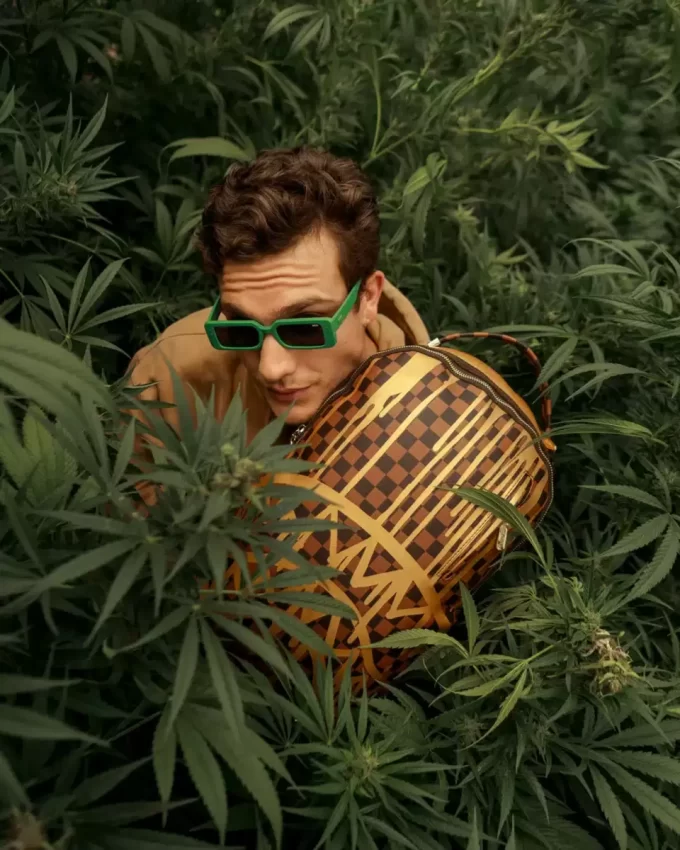 ZAINO PARIS PAINT (DLXV)