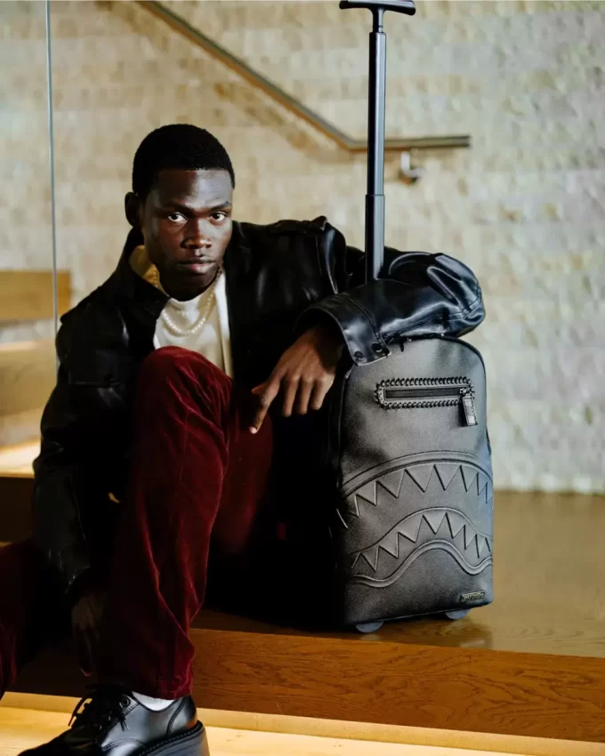 ZAINO WHEELY CON VERIFICA DELLA REALTÀ ZAINO WHEELY CON VERIFICA DELLA REALTÀ